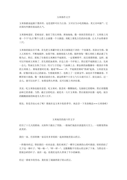 玉米地里的战斗作文500字