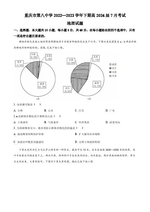 重庆市第八中学校2022-2023学年高二下学期期末地理试题含答案