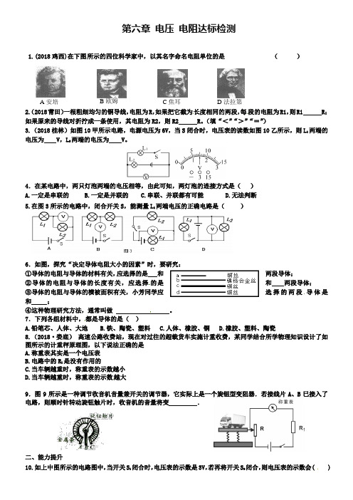 2019届人教版中考物理 第六章《电压 电阻》达标检测(含答案)