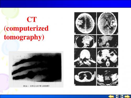 原子物理第6章PPT 杨福家