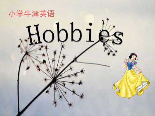 hobbies1PPT课件