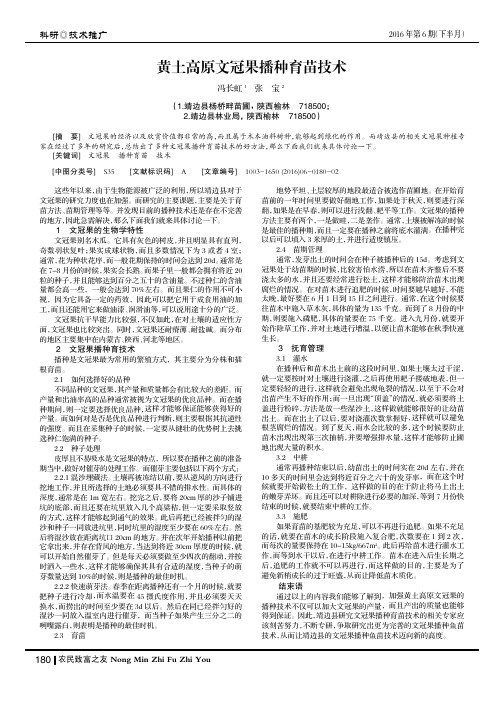 黄土高原文冠果播种育苗技术