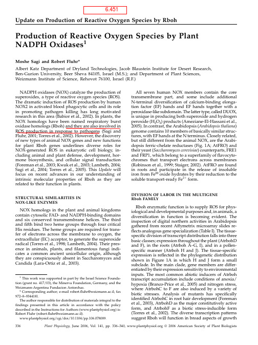 Production of reactive oxygen species by plant NADPH oxidases