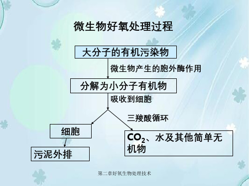 第二章好氧生物处理技术