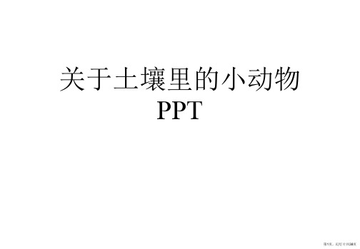 土壤里的小动物PPT课件