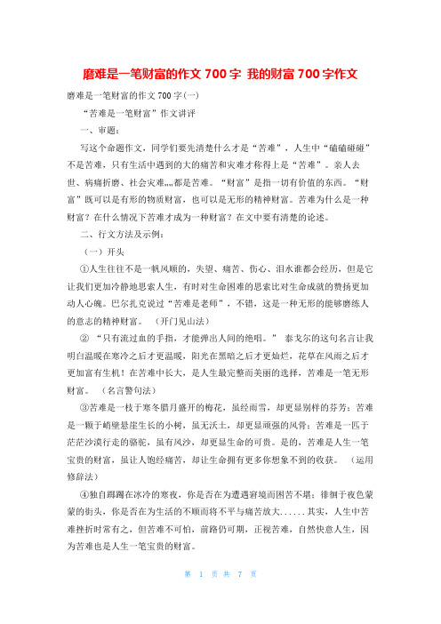 磨难是一笔财富的作文700字 我的财富700字作文