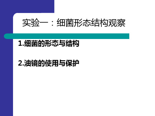 显微镜油镜的使用与细菌形态观察PPT课件