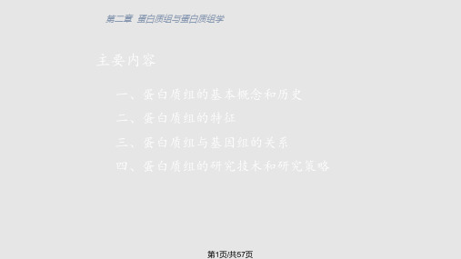 CH蛋白质组与蛋白质组学PPT课件