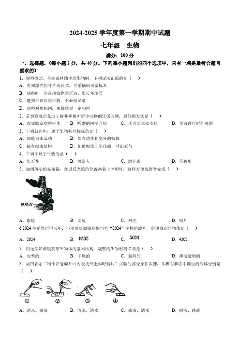 甘肃省庆阳市镇原县2024-2025学年七年级上学期期中生物学试题(含答案)