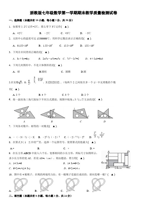 浙教版七年级(上)期末数学试卷(含答案)