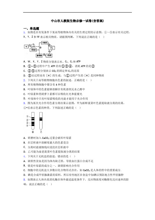 中山市人教版生物必修一试卷(含答案)