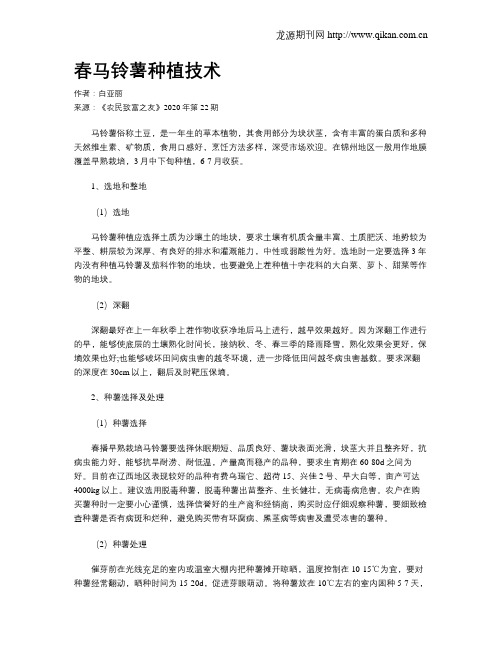 春马铃薯种植技术
