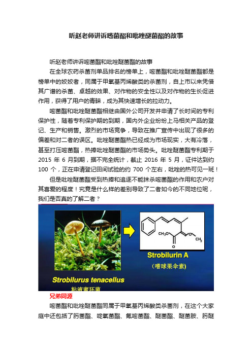 听赵老师讲诉嘧菌酯和吡唑醚菌酯的故事