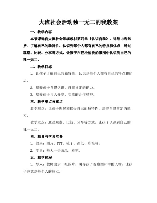 大班社会活动独一无二的我教案