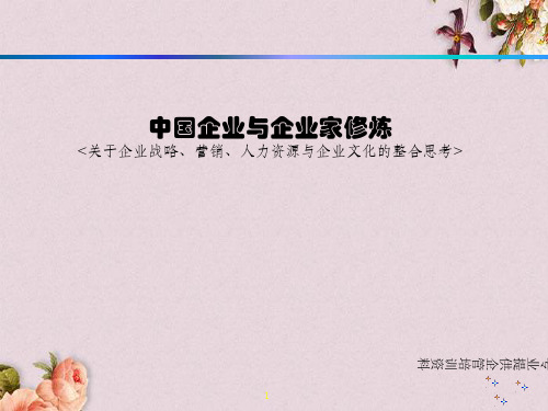 我国企业与企业家的修炼(ppt 198页)