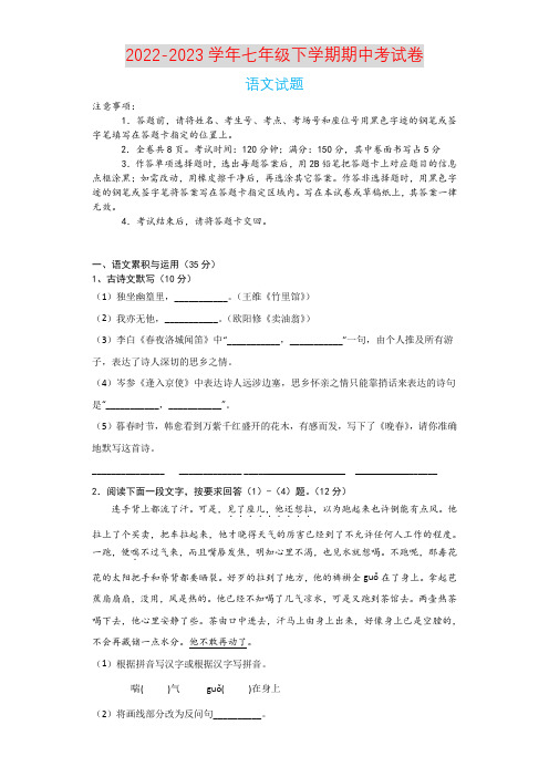 2022-2023学年七年级下学期期中语文考试卷(含答案)