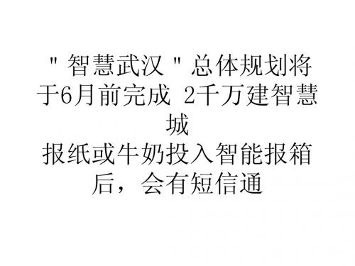 智慧武汉总体规划将于6月前完成2千万建智慧城(1)-1