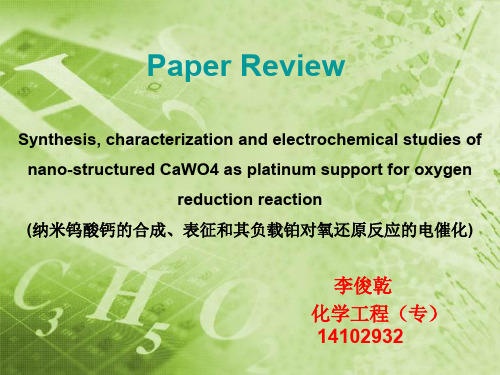 文献汇报PPT