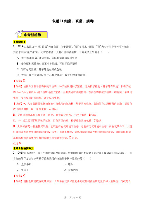 专题11 细菌、真菌、病毒-2024年中考《生物》一模试题分类汇编(山东专用)(解析版)