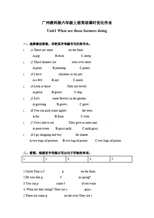 教科版六年级上册英语课时优化作业Unit1 What are those farmers doing