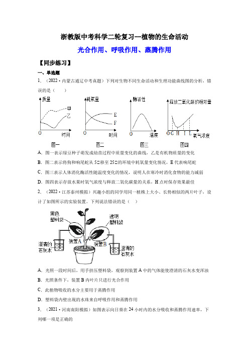 6.植物的生命活动(练习)(原卷版+解析)