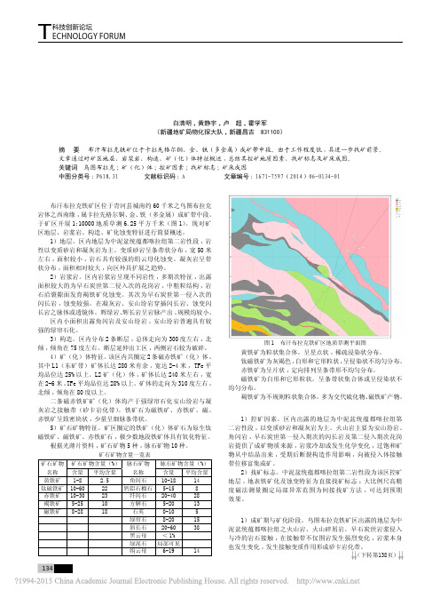 新疆青河县布汗布拉克铁矿地质特征_控矿因素及矿床成因_白清明