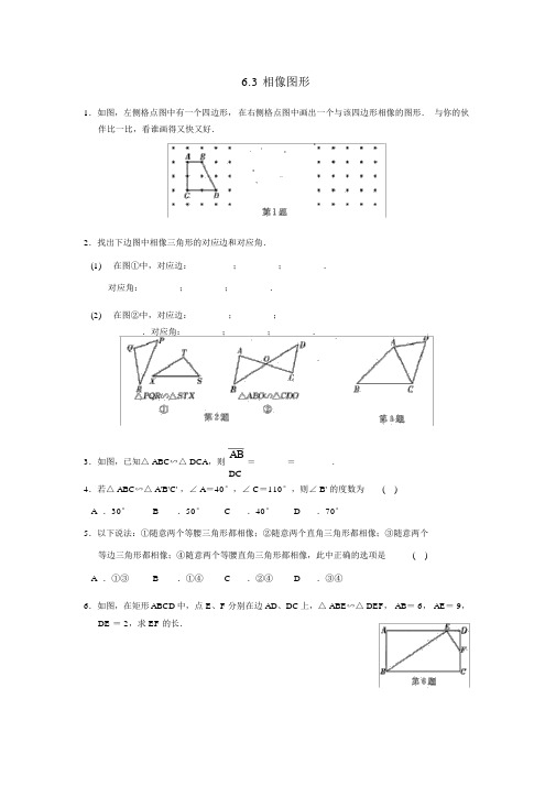 九年级数学下册第6章图形的相似6.3相似图形作业设计新版苏科版