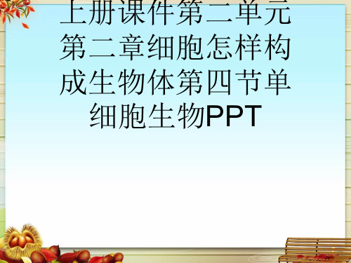 秋人教七年级生物上册课件第二单元第二章细胞怎样构成生物体第四节单细胞生物PPT