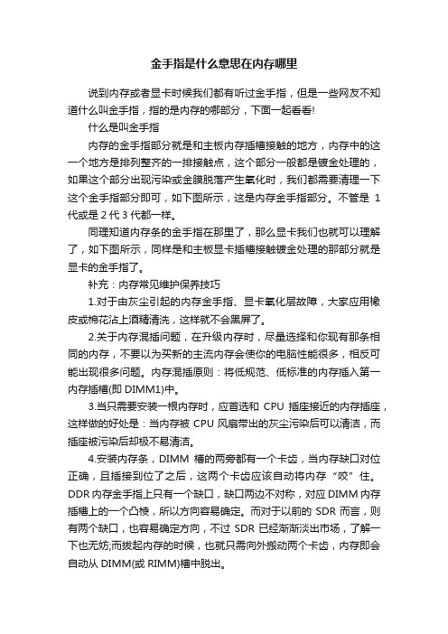 金手指是什么意思在内存哪里