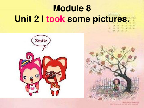 外研版四年级英语下册Module8Unit2Itooksomepictures教学课件