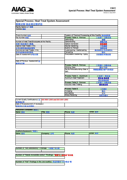 CQI-9第二版中英文审核表