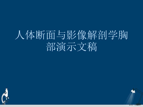 人体断面与影像解剖学胸部演示文稿