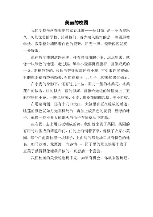 美丽的校园五(4)