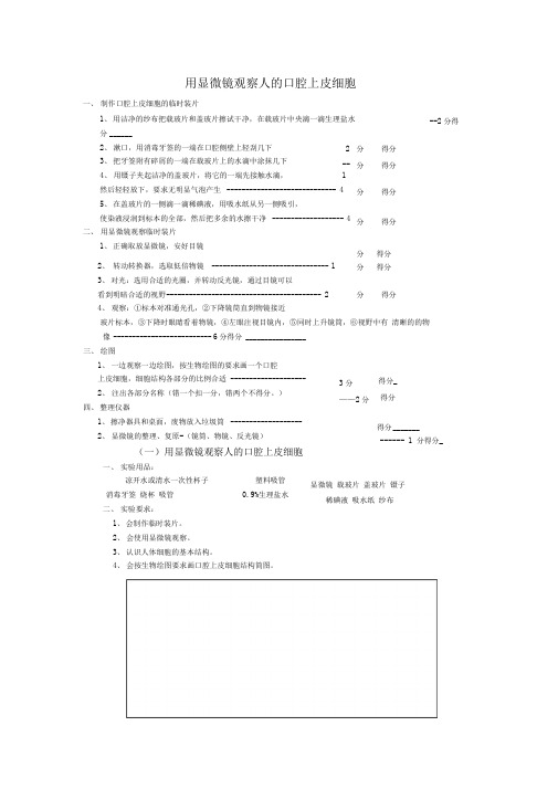 用显微镜观察人的口腔上皮细胞