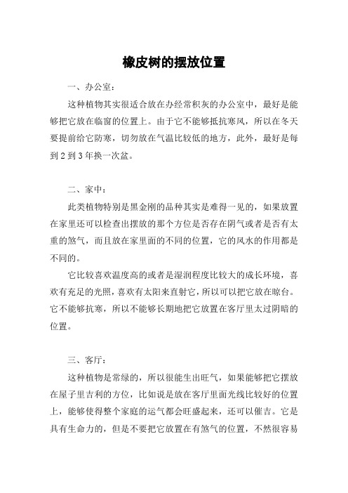 橡皮树的摆放位置