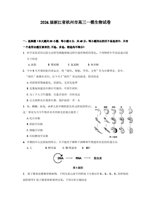 2024届浙江省杭州市高三一模生物试卷(含答案)