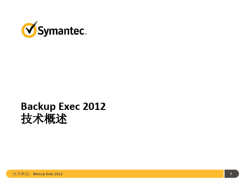 最完整77页Symantec Backup Exec 2012