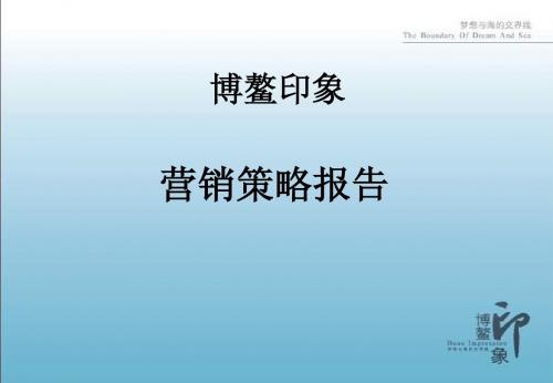 2011年-海南博鳌印象营销策略报告