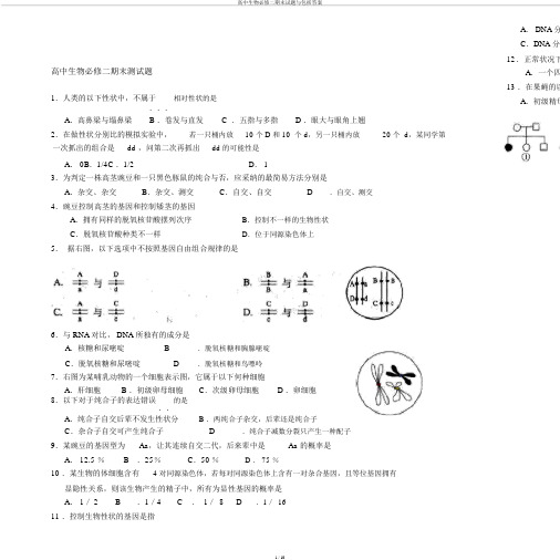 高中生物必修二期末试题与包括答案