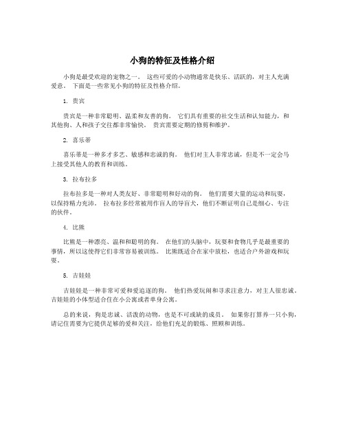 小狗的特征及性格介绍