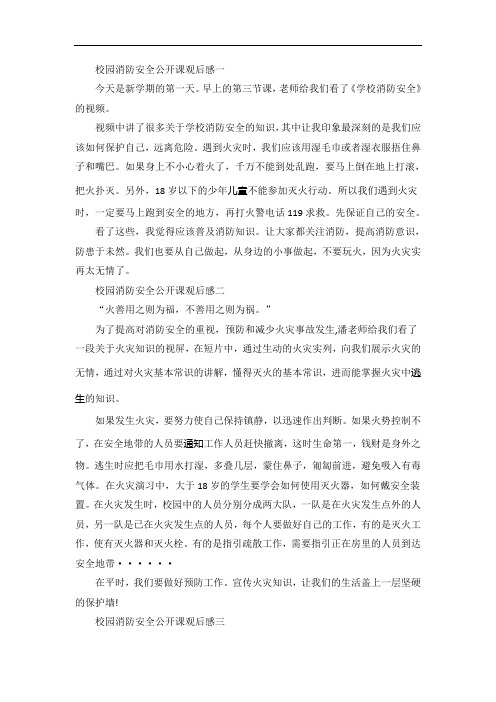 校园消防安全公开课观后感五篇