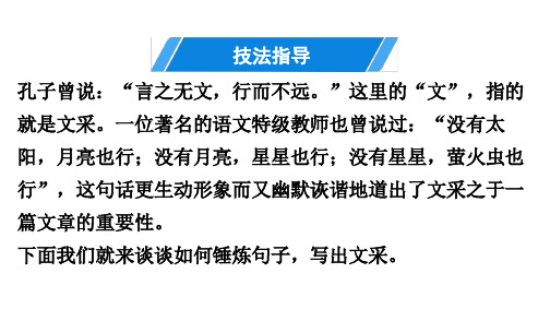 作文技法指导 语言技巧 讲练课件—部编版九年级语文上册PPT课件