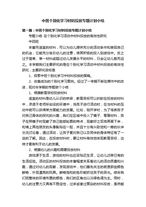 中班个别化学习材料投放专题计划小结