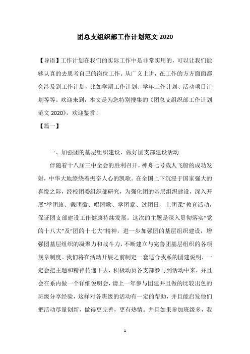 团总支组织部工作计划范文2020