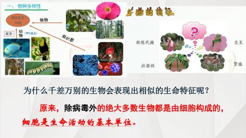 3.1细胞的基本结构和功功能(1)