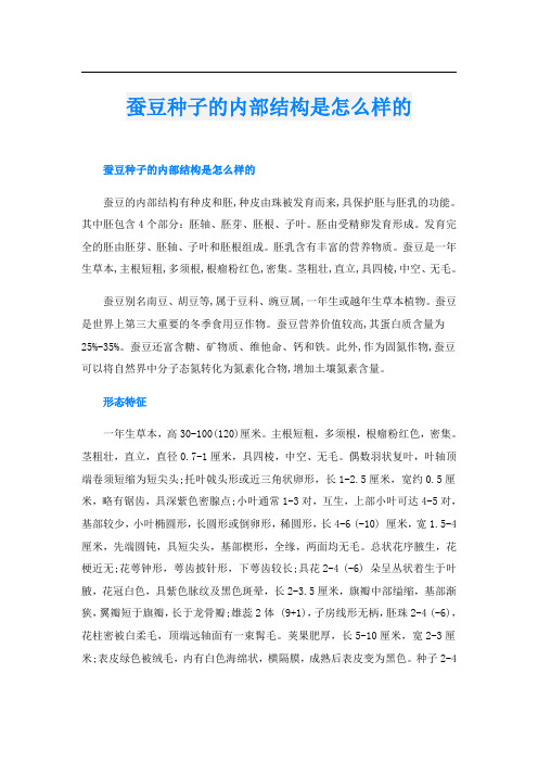 蚕豆种子的内部结构是怎么样的