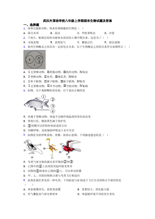 武汉外国语学校八年级上学期期末生物试题及答案