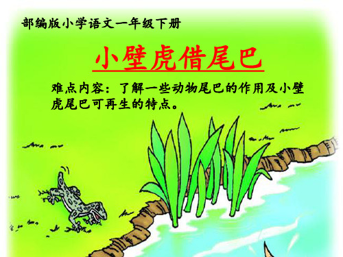 一年级语文下册小壁虎借尾巴部编版PPT5优秀ppt课件