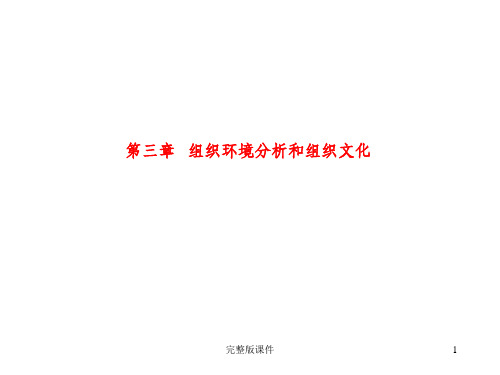 《组织环境分析》PPT课件