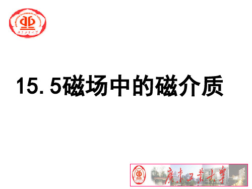 15.5磁场中的磁介质精品文档21页